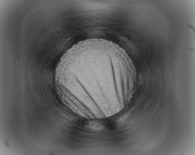 X0000090990753200708241426