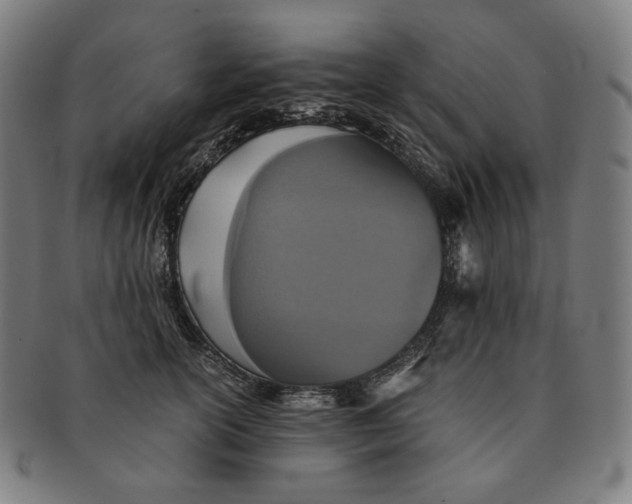 X0000090990754200708241426