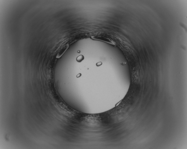 X0000090990756200708241426