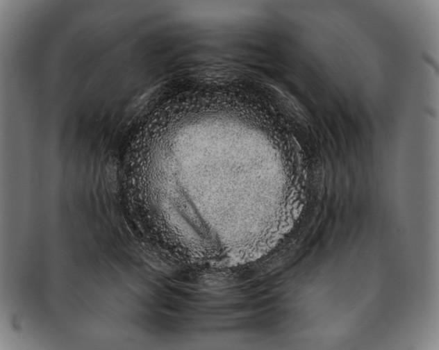 X0000090990757200708241426