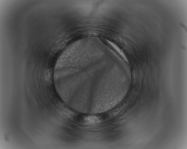 X0000090990759200708241426