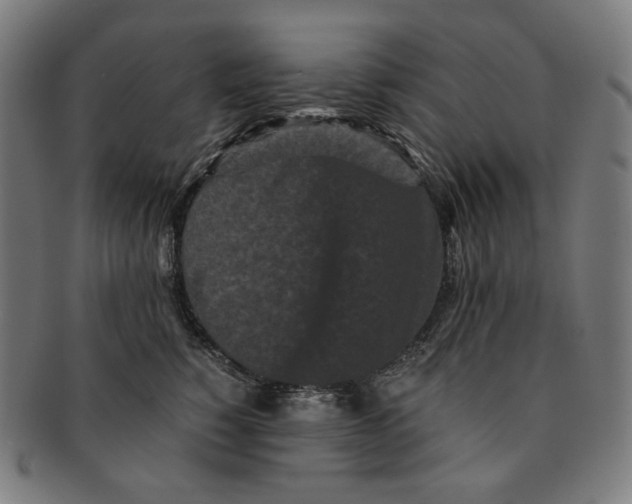 X0000090990760200708241426