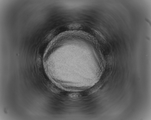 X0000090990761200708241426