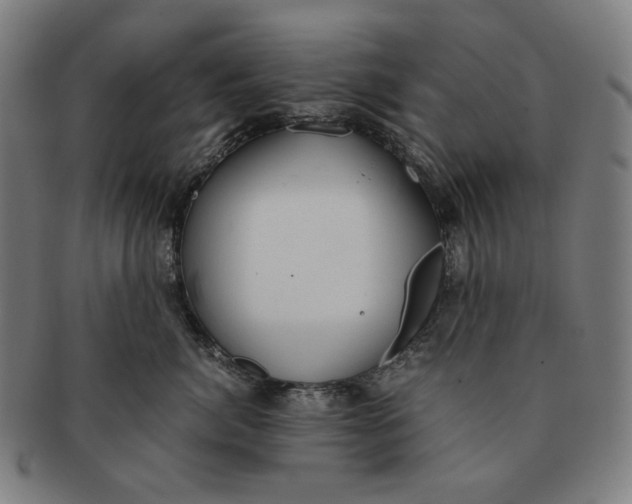 X0000090990764200708241426