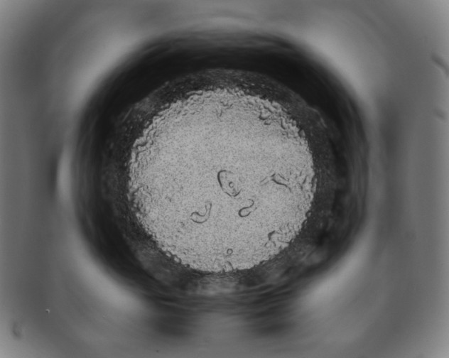 X0000090990765200708241426