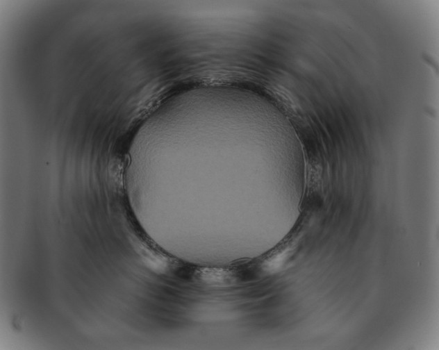 X0000090990766200708241426