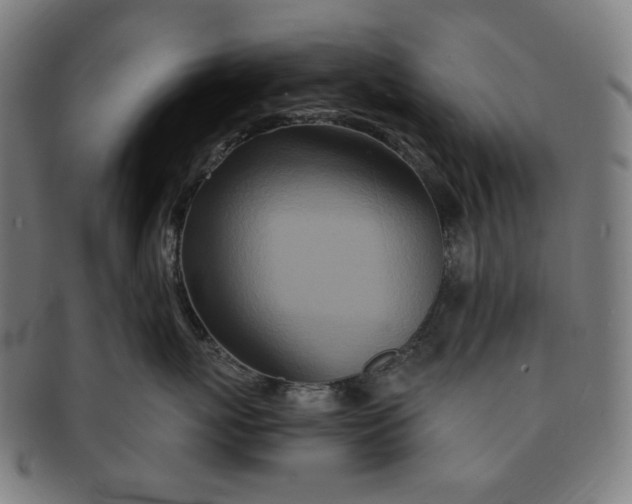 X0000090990767200708241426