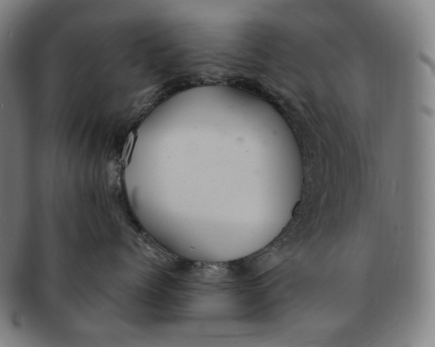 X0000090990768200708241426