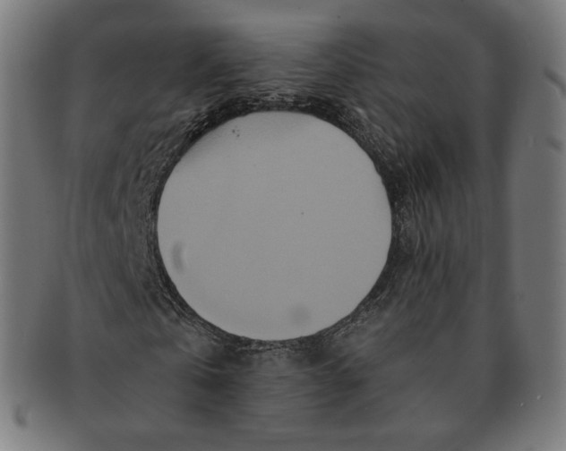 X0000090990769200708241425