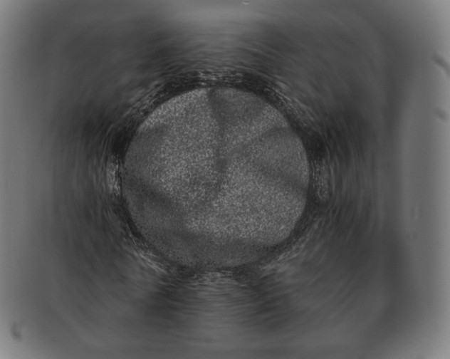 X0000090990770200708241425