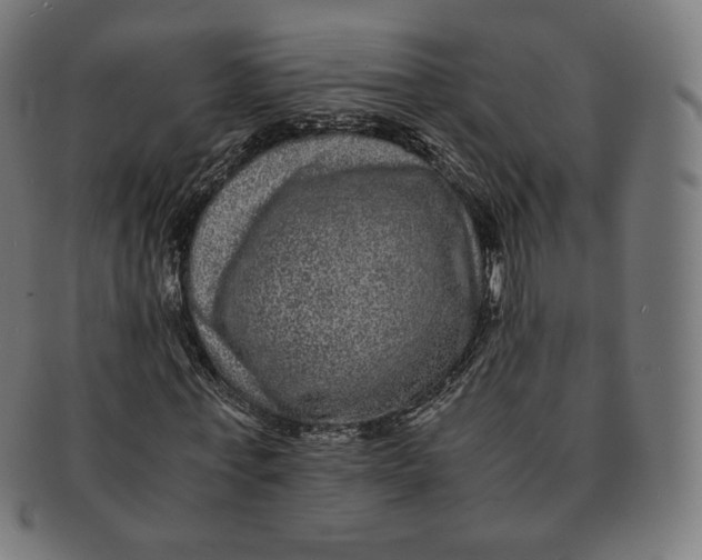 X0000090990771200708241425