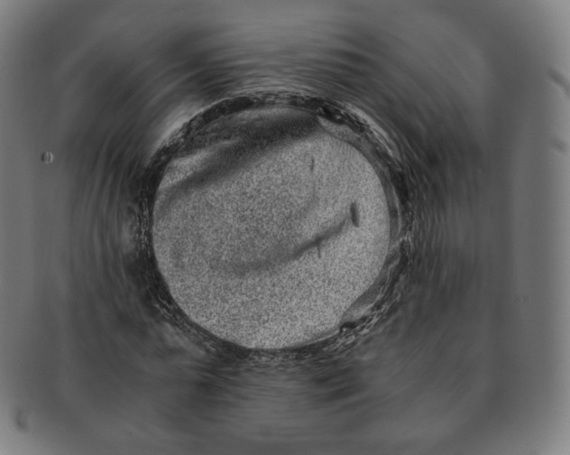 X0000090990775200708241425