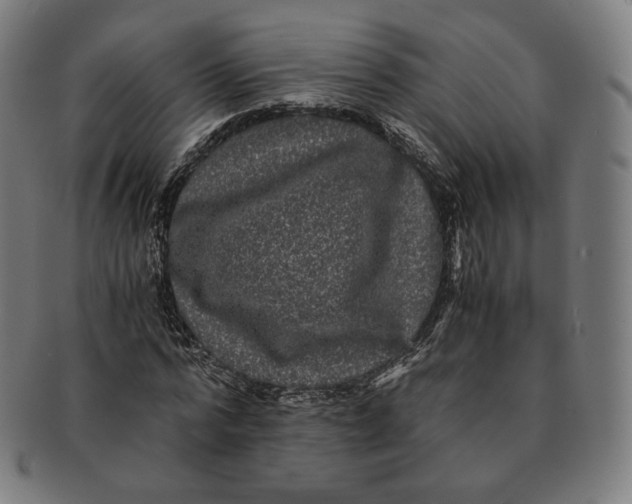 X0000090990776200708241425