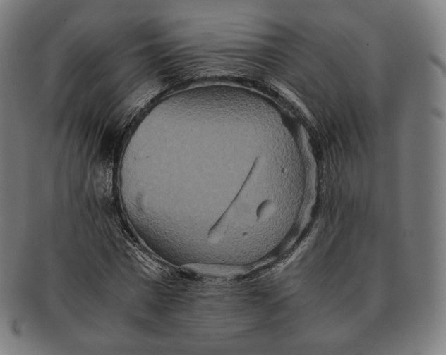 X0000090990777200708241425