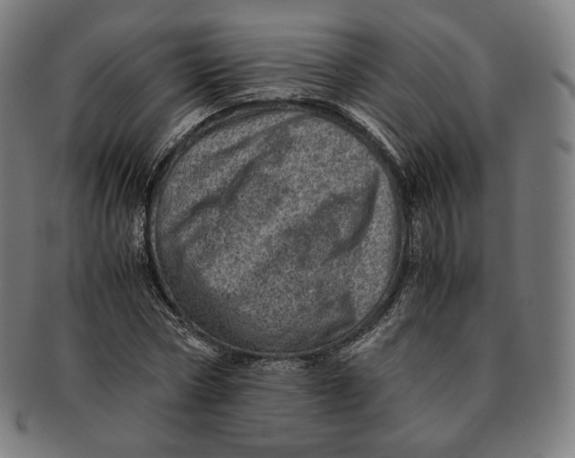 X0000090990778200708241425