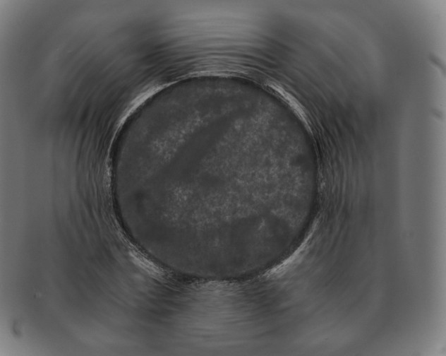 X0000090990779200708241425