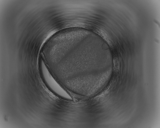 X0000090990780200708241425