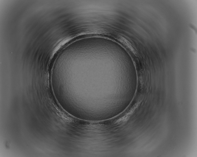 X0000090990781200708241425