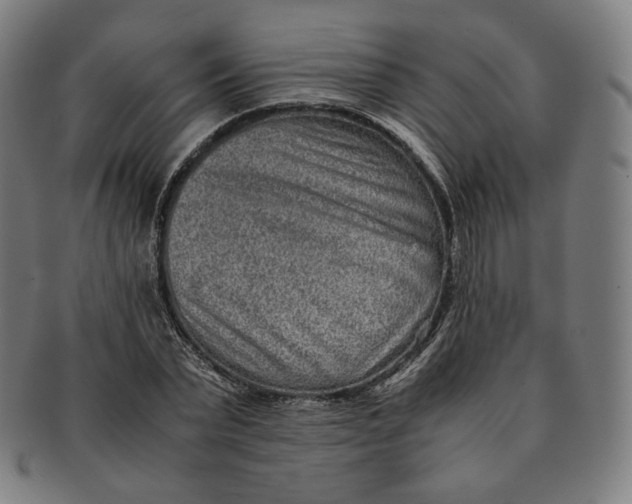 X0000090990783200708241425