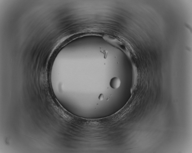 X0000090990784200708241425