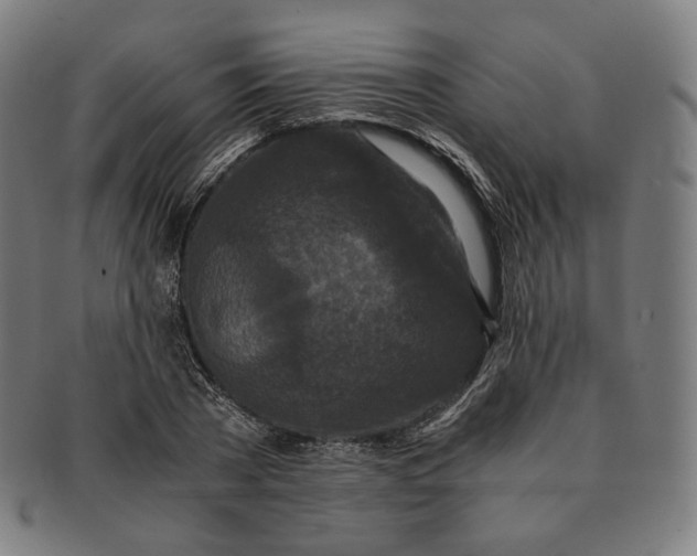 X0000090990785200708241425