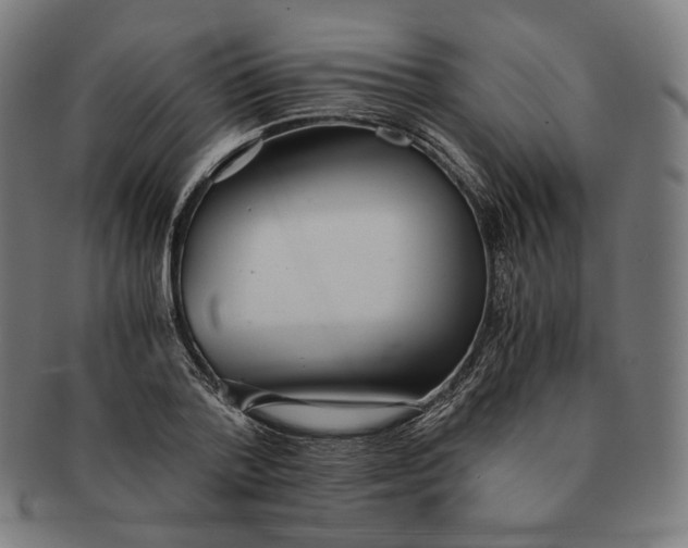 X0000090990788200708241425