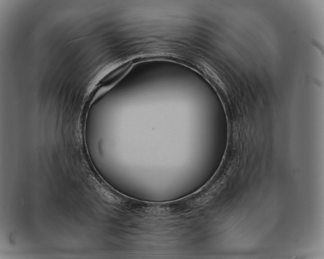 X0000090990789200708241425