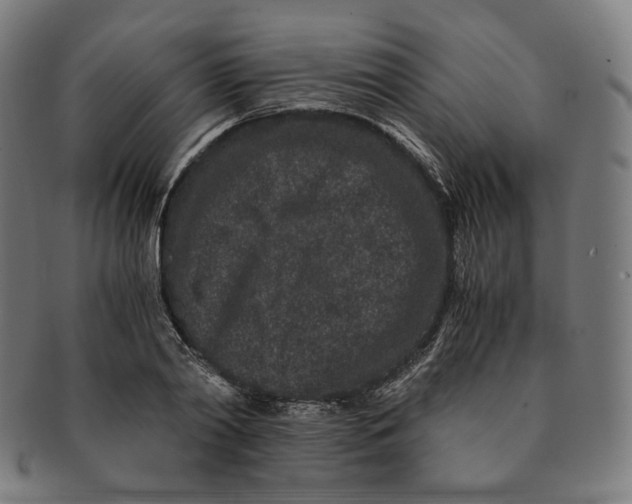 X0000090990790200708241425