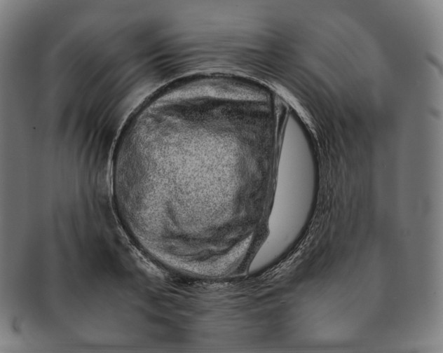 X0000090990791200708241425