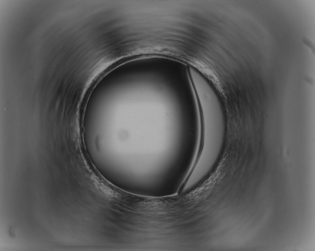 X0000090990792200708241425