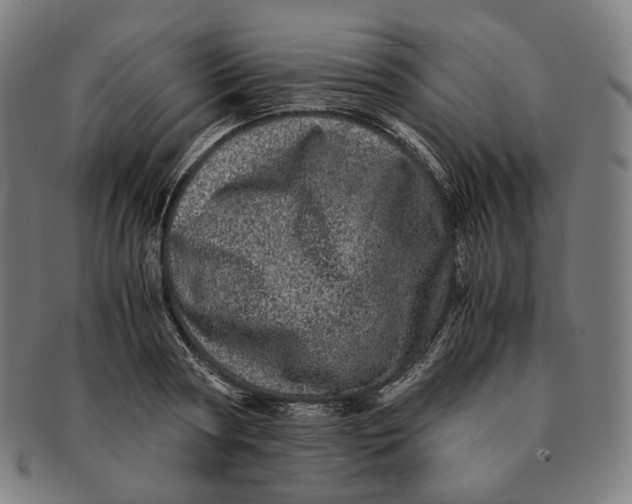 X0000090990794200708241425