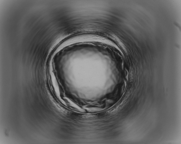 X0000090990795200708241425