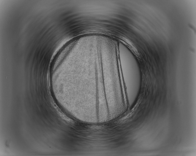 X0000090990796200708241425