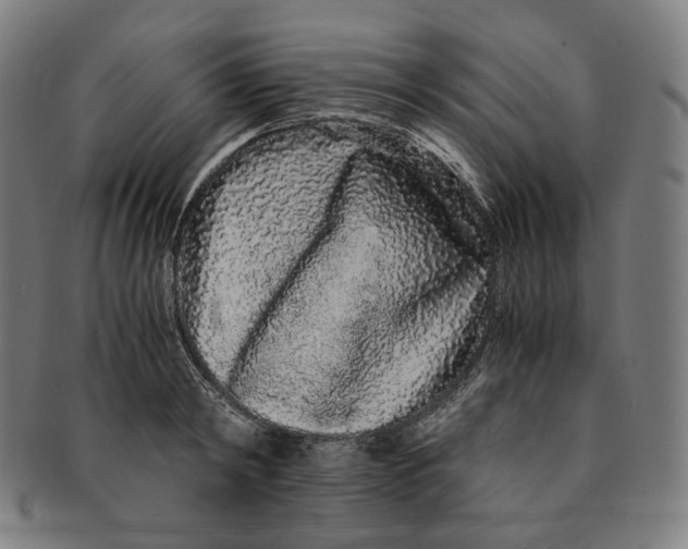 X0000090990798200708241425