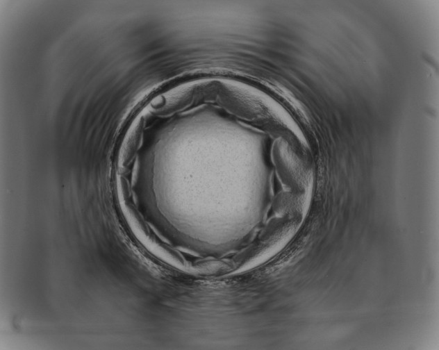 X0000090990799200708241425