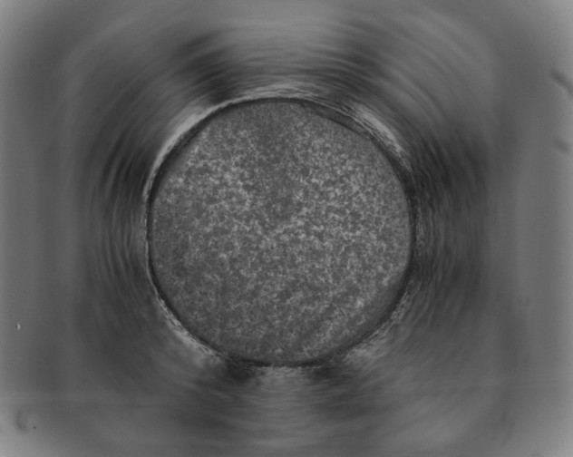 X0000090990800200708241425