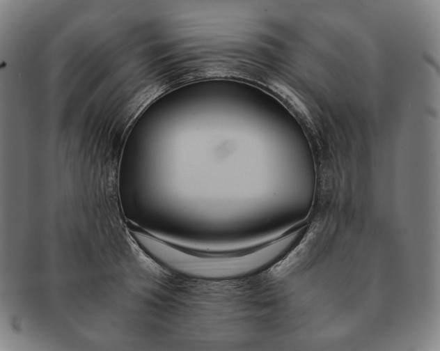 X0000090990801200708241425