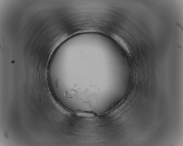 X0000090990805200708241424