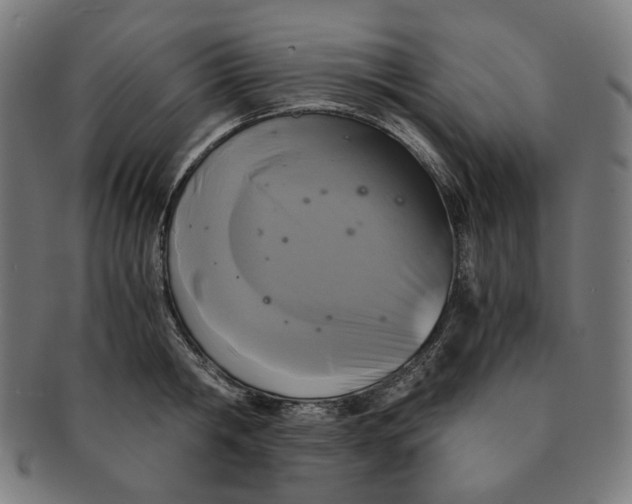 X0000090990806200708241424