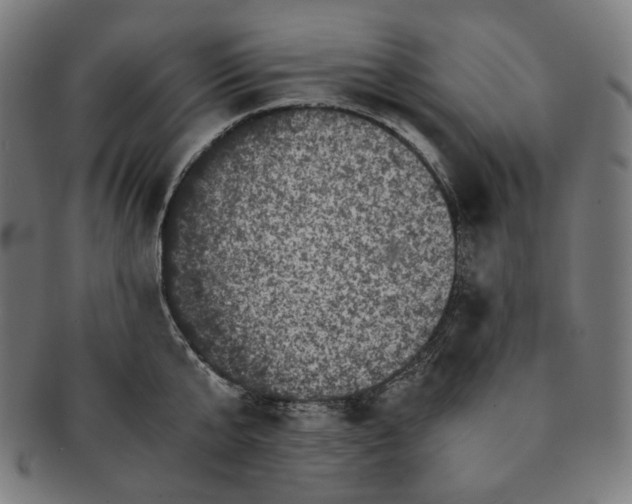 X0000090990807200708241424