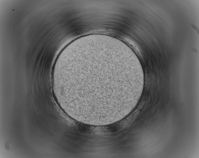 X0000090990808200708241424