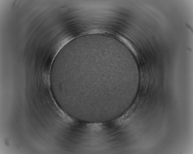 X0000090990810200708241424