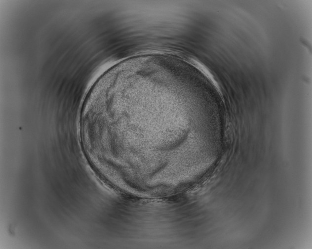 X0000090990811200708241424