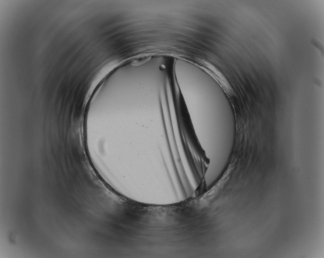 X0000090990812200708241424