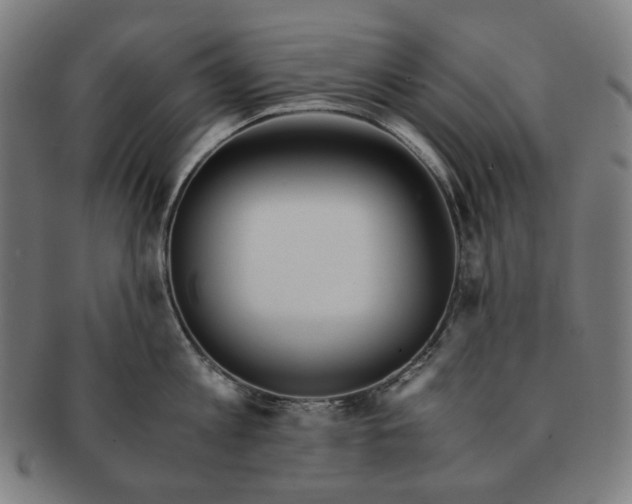 X0000090990813200708241424