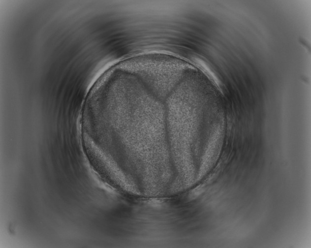 X0000090990814200708241424