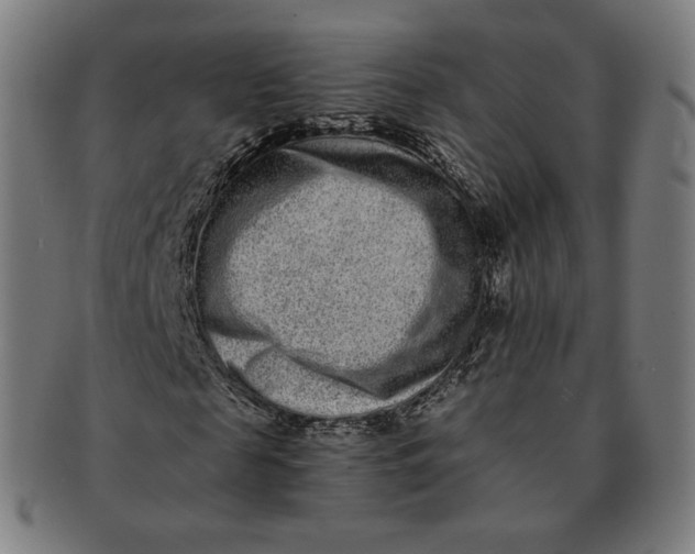 X0000090990817200708241424