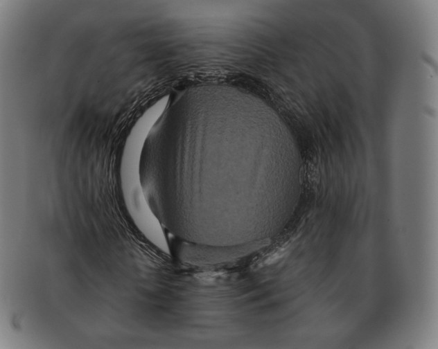 X0000090990818200708241424