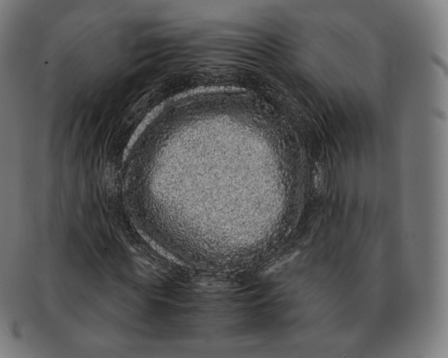 X0000090990819200708241424