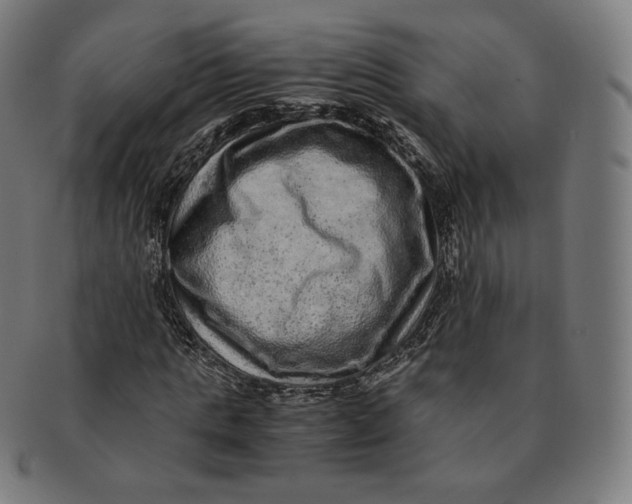 X0000090990821200708241424